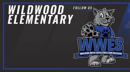 WWES FOLLOW US LOGO